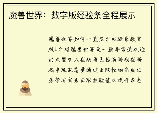 魔兽世界：数字版经验条全程展示